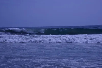 DSC_2172 (Large).JPG